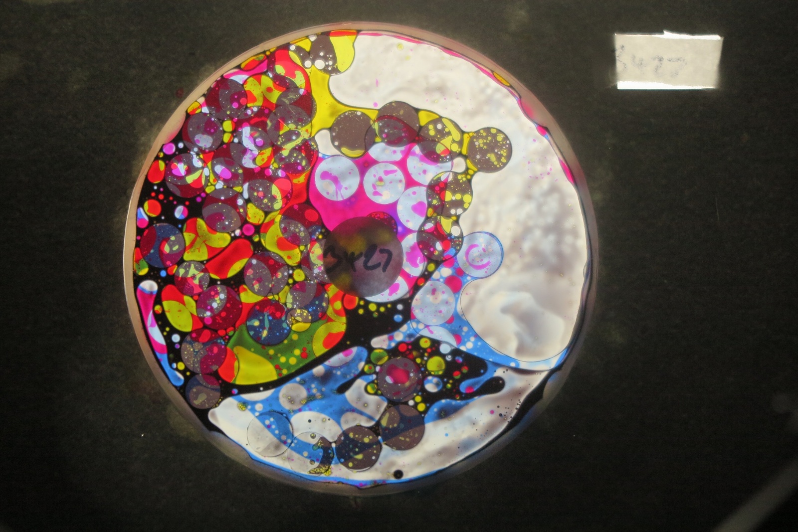 BV3427 bubble vision oil wheel